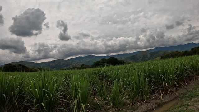 Полеты на параплане,Колумбия,04.02.2026,ч.5 смотреть онлайн