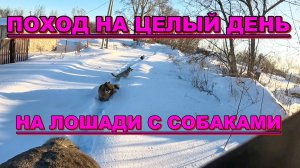 ЗИМНИЙ ЭКСТРИМ В СИБИРИ! ПОХОД НА ЛОШАДИ С СОБАКАМИ В ОДИНОЧКУ