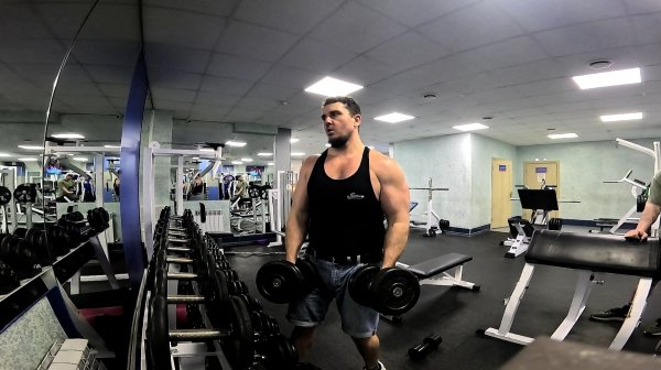 Champion by Alex Productions