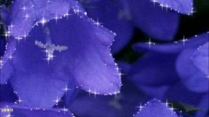 (На Волне Шансона) - Ошибочка вышла...ПРЕМЬЕРА ПЕСНИ.ВОКАЛ