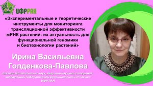 Экспериментальные и теоретические инструменты для мониторинга трансляционной эффективности мРНК