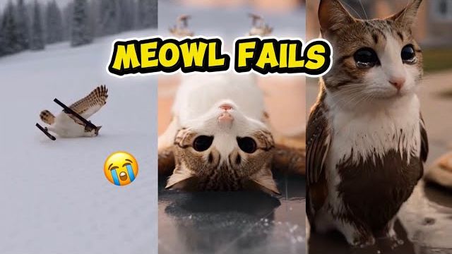 НЕУДАЧИ КОТИКА МЯВЛ! ПОДБОРКА ЛЕГЕНДАРНЫХ МОМЕНТОВ КОТИКА МЯВЛ МЯУ РЕАКЦИЯ НА ЭТУ ЛЕГЕНДУ