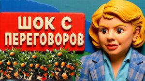 СТАВНИЙЧУ.Это КАТАСТРОФА: Секретные компромиссы!  РЕШАЮЩАЯ НОЧЬ: ПУТИН МЕНЯЕТ СЦЕНАРИЙ!