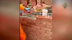 От Этих Безумных Рабочих Волосы Встают Дыбом!