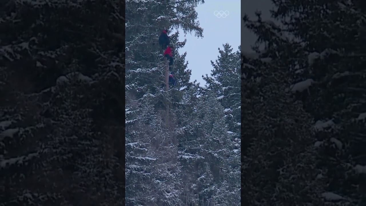 The Best Seat In The House ⛷️ #MilanoCortina2026