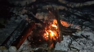 Ночёвка в зимнем лесу у костра и без палатки