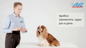 РОКСИОР® таблетки для собак  10 мг, 1 блистер