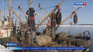 "Вести. Сахалин. Курилы". 4 февраля 2026 года