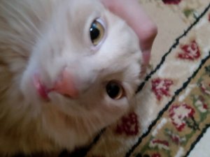 распаковочка эксклюзивчику по дроном убийц#дроны убийцы##