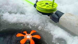 ЯМА ПОЛНА РЫБЫ! МОЩНЫЙ КЛЁВ НА ГРАНИ ШТРАФА! ПЛОТВА НА ПОПЛАВОК И СУДАК НА ВИБЫ! Два дня на р. УСА