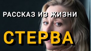 Истории из жизни|МУШКЕТЁРЫ|Аудио рассказы|Аудиокниги слушать онлайн|Жизненные истории
