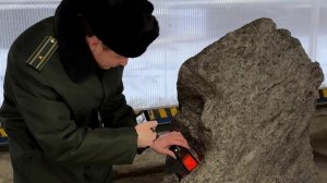 В Петербурге предотвратили вывоз фрагмента древнего метеорита Алетай.