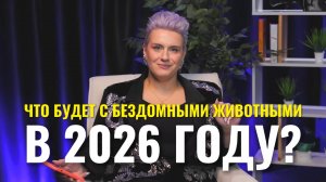 Бездомные животные