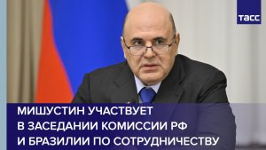 Мишустин участвует в заседании комиссии РФ и Бразилии по сотрудничеству