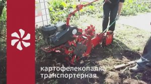 Маленькая транспортерная картофелекопалка ВРМЗ. Копаем картофель на даче.