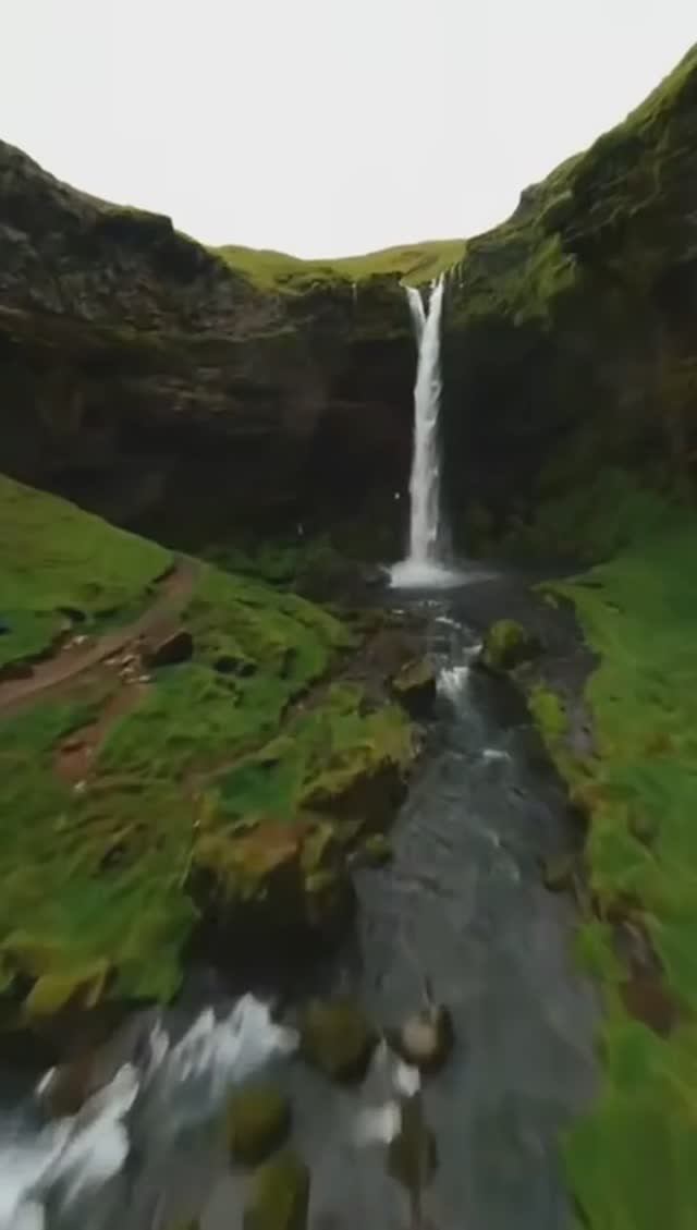 В.Р.- Душа как птица.