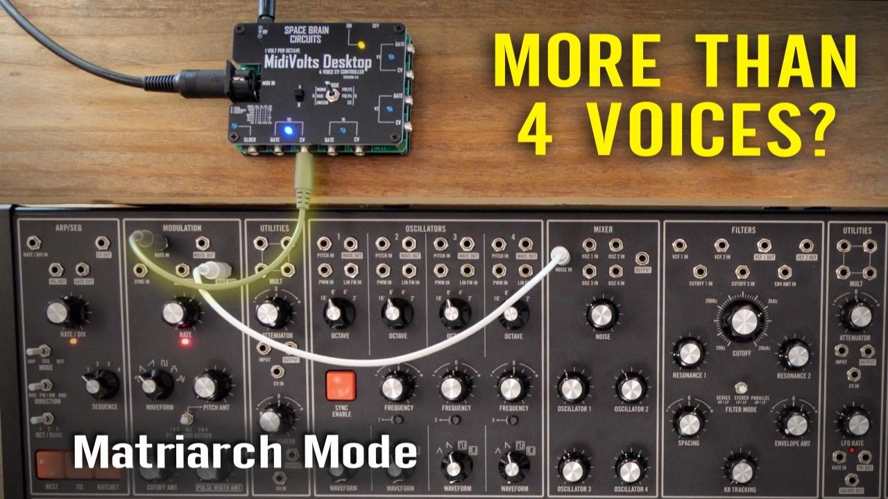 MidiVolts Desktop: How to Get More Voices on Moog Matriarch