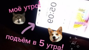 моё утро! подъём в 5 утра!