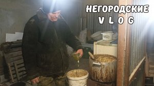 Спорим о дозировках добавок для НУТРИЙ. Витамины в кашу. 02.02.26