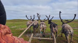 КАНИН НОС 2025 часть 1 Арктическое приключение команды ЭКСТРИМ Клуб