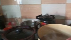 Всё так же без воды. 19е сутки - суть яйца не утопила.