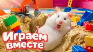 ЛАБИРИНТ С ЛОВУШКАМИ ДЛЯ УМНОГО ХОМЯКА 🐹 ВИДЕО ПРО ХОМЯКА ДЛЯ ДЕТЕЙ 🟢