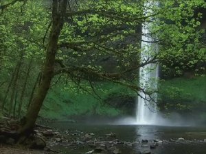 МУЗЫКА ДЛЯ СНЯТИЯ СТРЕССА И ПОГРУЖЕНИЯ В СОН