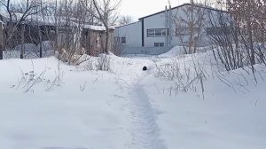 ЗИМНИЙ ДЕНЬ, КАКОЕ СОЛНЦЕ, КАКОЕ НЕБО, СНЕГ