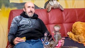 РАСПАКОВОЧКА! Вы не поверите своим глазам с Люсей и Степашкой что-то стало, так они себя еще не вели