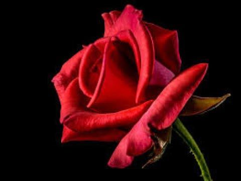 Happy Birthday Kine VORSICHT ! SCHLEICHWERBUNG смотреть онлайн