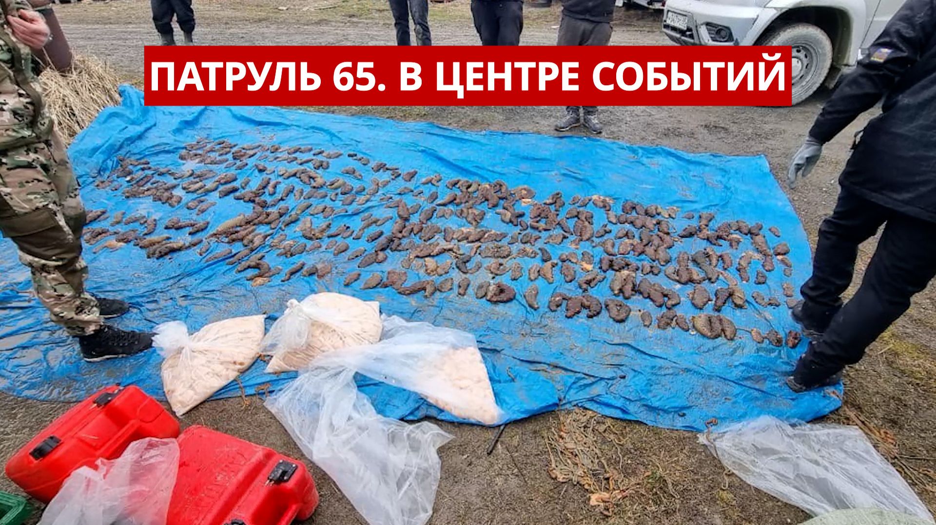 ПАТРУЛЬ 65. "Набраконьерили" на 30 миллионов/Борьба с нелегалами/Разгромлен туалет. Сахалин 05.02.26 смотреть онлайн