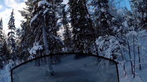 Прородитель  Шармакса