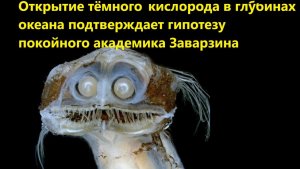 Открытие тёмного кислорода в глубинах океана подтверждает гипотезу покойного академика Заварзина