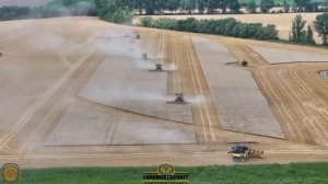 Крупномасштабный сбор урожая зерновых в Тюрингии 2025