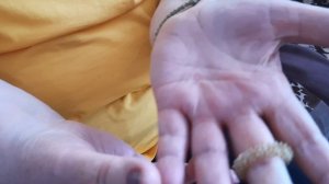 Фрагмент занятия с Су-джок терапии