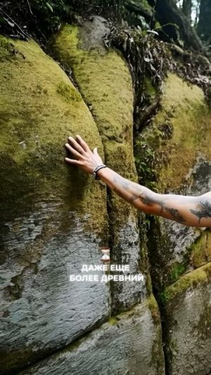 Как звездные души могут покинуть планету?