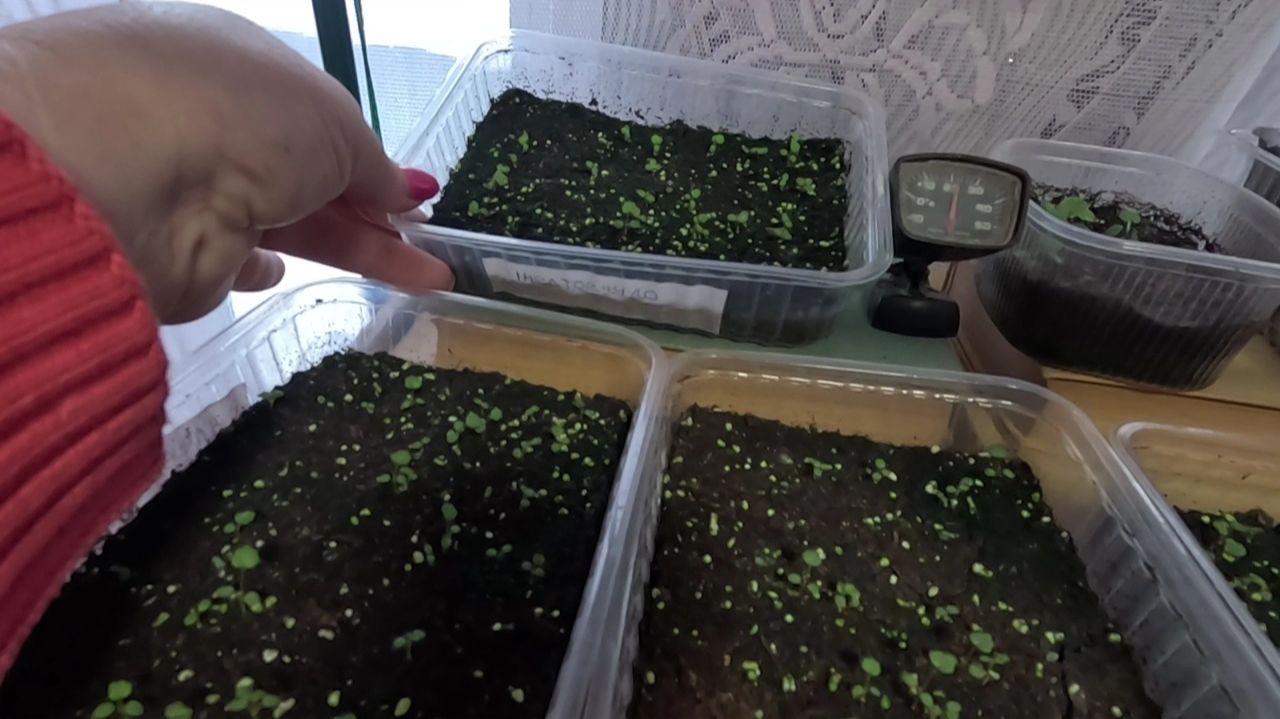 Не выкидывать же.. У него ситуация на много хуже...