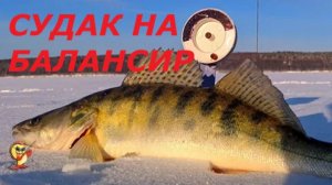 КАК ЛОВИТЬ СУДАКА на БАЛАНСИР в ФЕВРАЛЕ? СНАСТИ для РЫБАЛКИ на СУДАКА ЗИМОЙ!