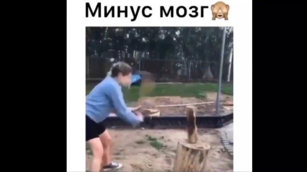 #смешныевидео -860