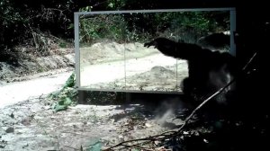 Кринжовый вайб. Русский новояз.