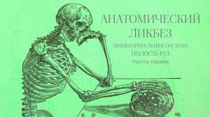 Анатомический ликбез - Пищеварительная система. Полость рта, часть первая