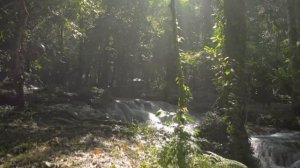 Это не просто музыка — это твой путь к внутреннему просветлению. - Дорога перемен.