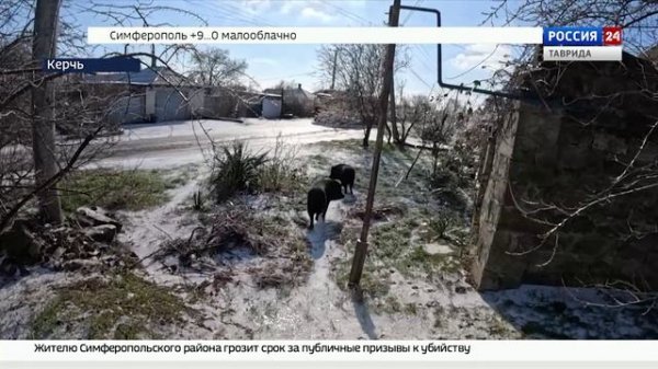 ВЕСТИ КРЫМ: выпуск 05.02.2026 17:30