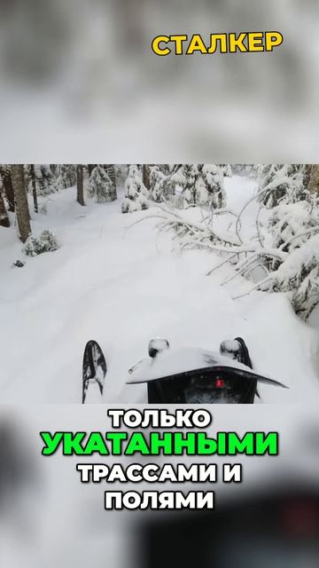 Топ-5 фишек идеального снегохода смотреть онлайн