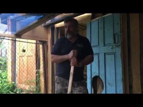 Репортаж из курятника (птицефермы). смотреть онлайн