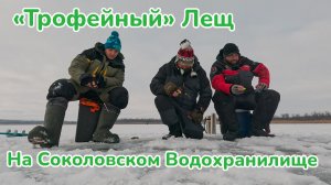 Трофейныей лещ на Соколовском водохранилище / Ловля на Мормышку / Зимняя рыбалка / Фишмир