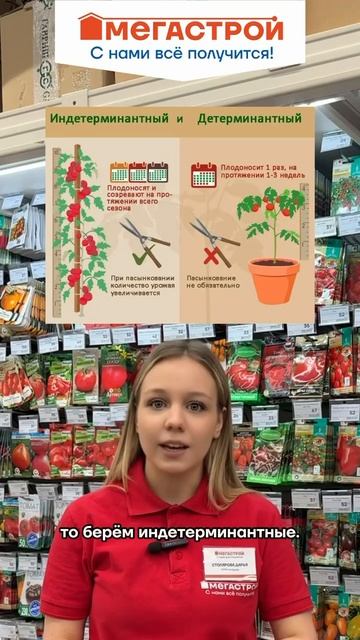 Как выбрать семена?