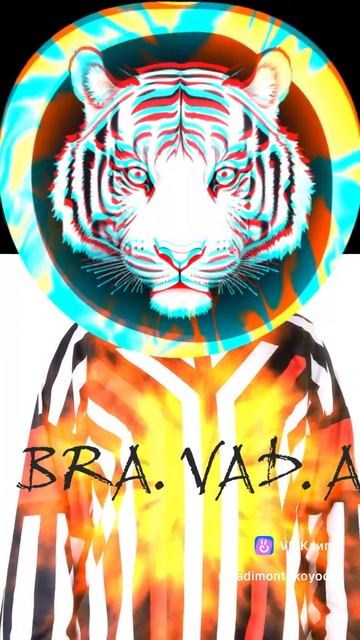 "Как тигр" альбом "Хоккей не балет!" автор BRA.VAD.A. (Бравада) Copyright © Все права защищены