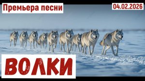 Мировая премьера песни. ВОЛКИ(04.02.2026)