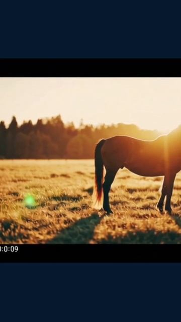 #животные #дикиеЖивотные #фотографииЖивотных #кот #забавныеМоменты #питомцы